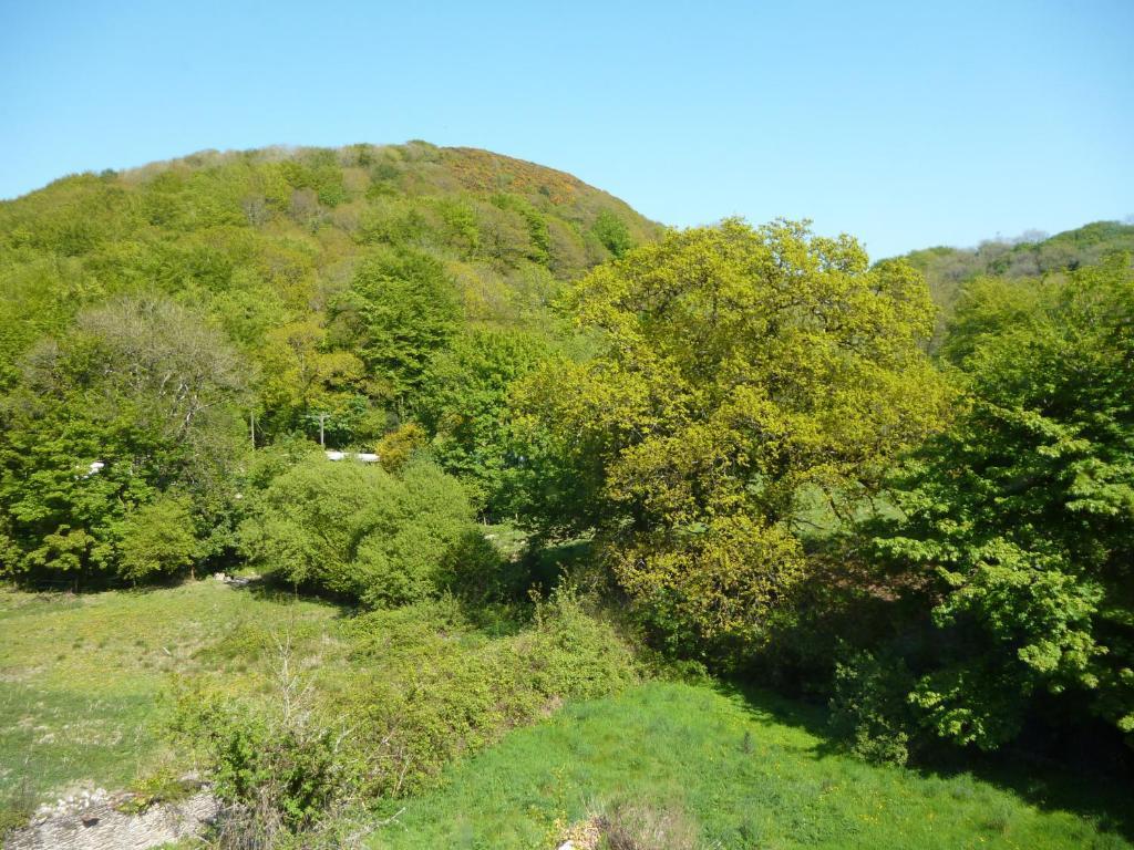 Score Valley Country House Ilfracombe Oda fotoğraf