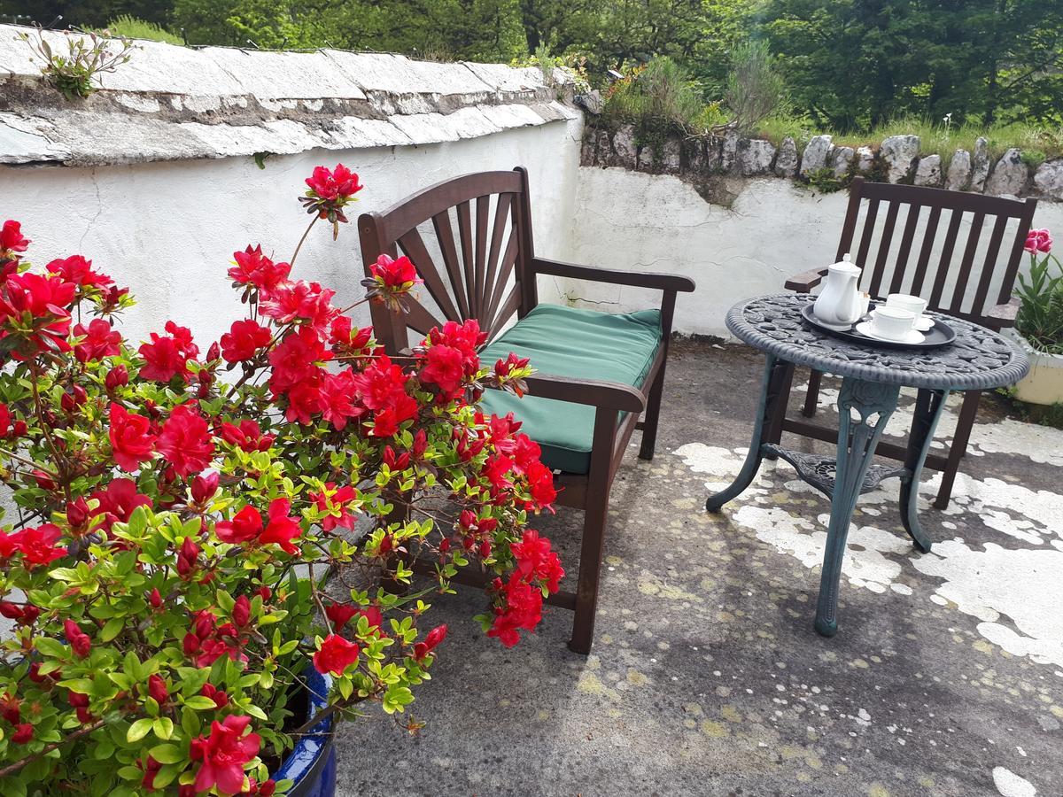 Score Valley Country House Ilfracombe Dış mekan fotoğraf