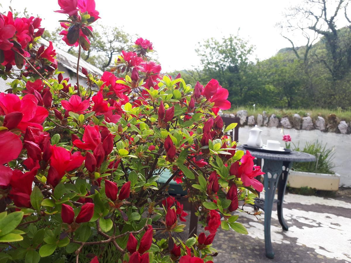 Score Valley Country House Ilfracombe Dış mekan fotoğraf