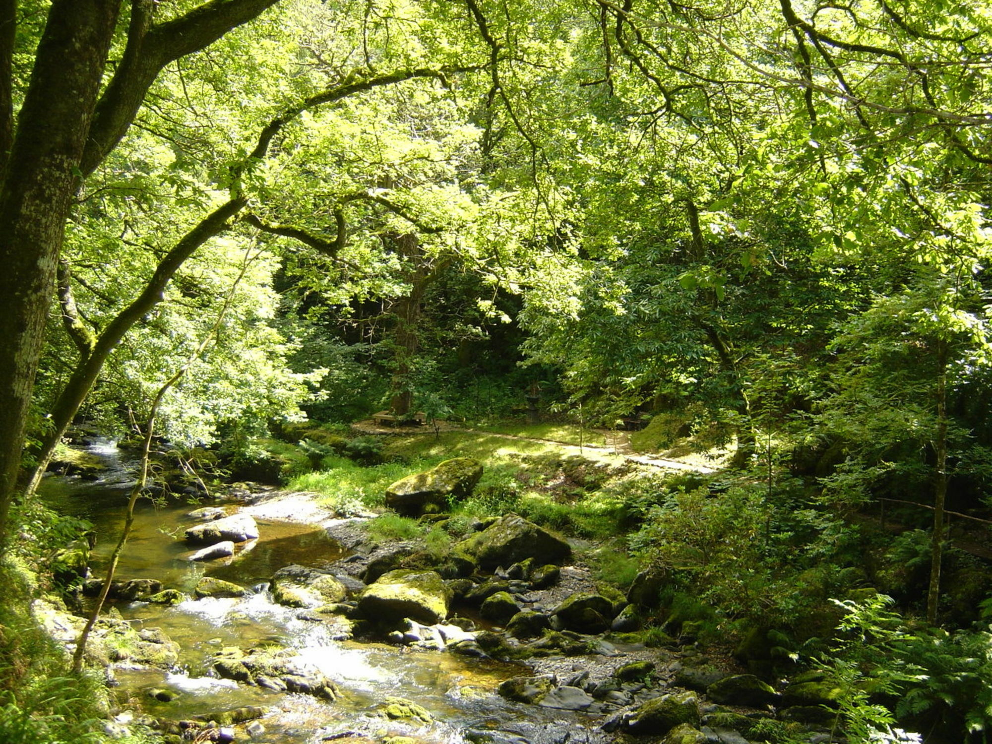 Score Valley Country House Ilfracombe Dış mekan fotoğraf